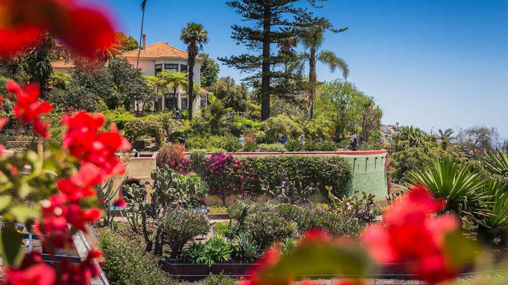 Jardin botanique de Madère avec végétation tropicale et vue sur Funchal