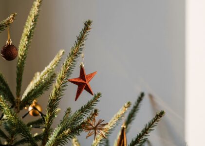 Des idées cadeaux uniques pour un Noël inoubliable