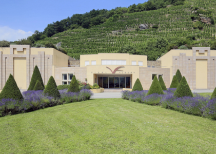 Maison Vidal-Fleury: l’excellence au coeur de la Vallée du Rhône