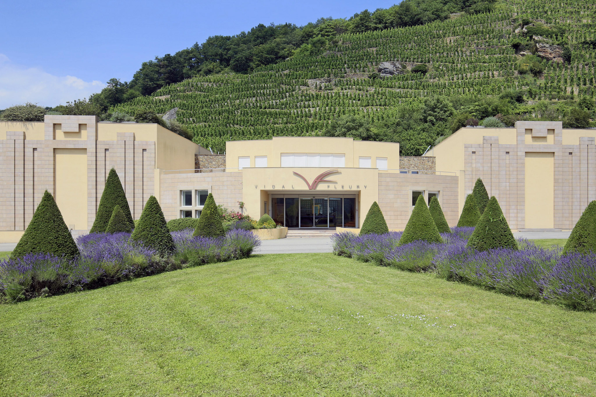 Maison Vidal-Fleury: l’excellence au coeur de la Vallée du Rhône