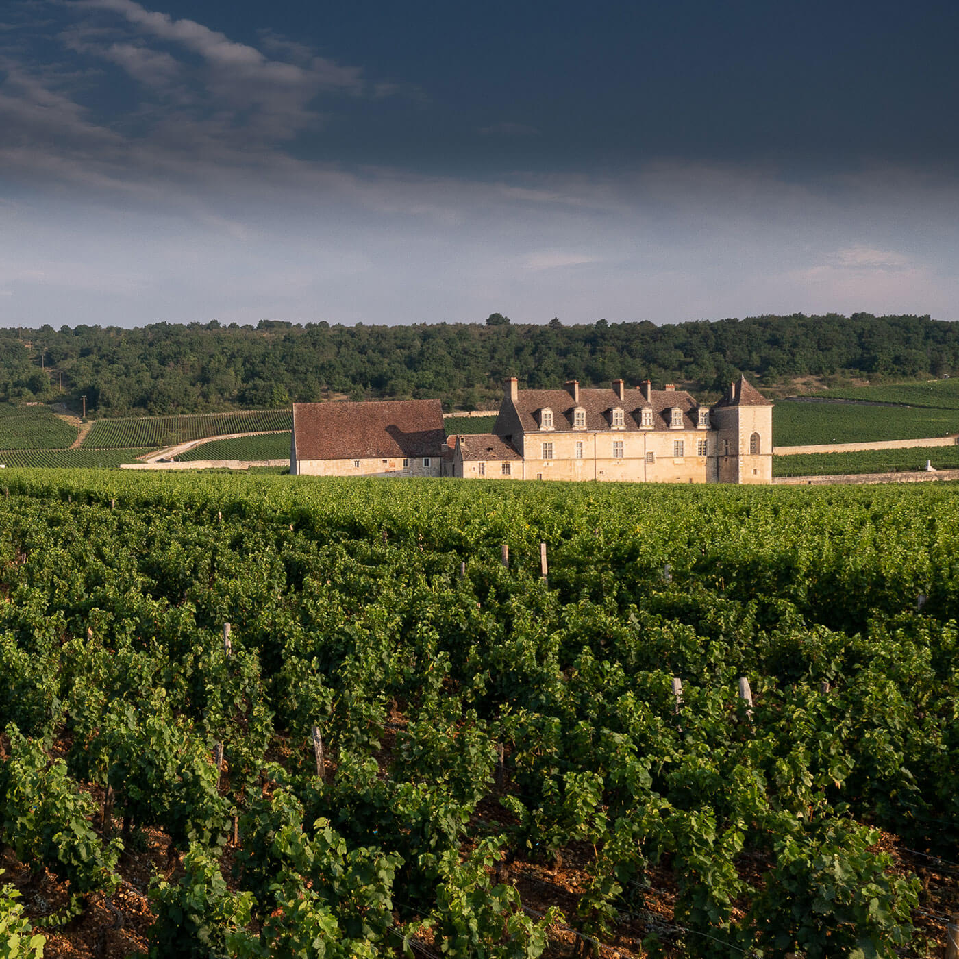 Domaine Evenstad : Une symphonie vinicole au cœur de l’Oregon