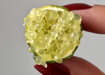 Fruits at Home : Le citron caviar, l’ingrédient qui transforme vos plats