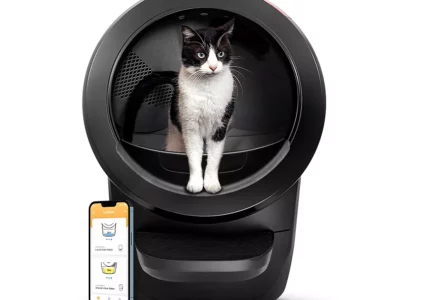 Le Litter-Robot 4 : un écrin design pour les besoins de votre chat