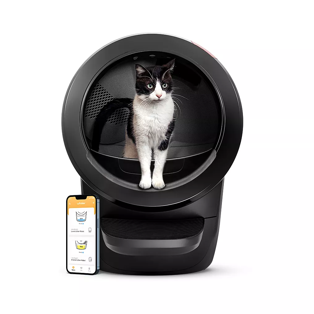 Le Litter-Robot 4 : un écrin design pour les besoins de votre chat