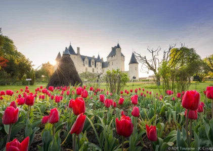 Des jardins à l’assiette, les délices du Château de Rivau