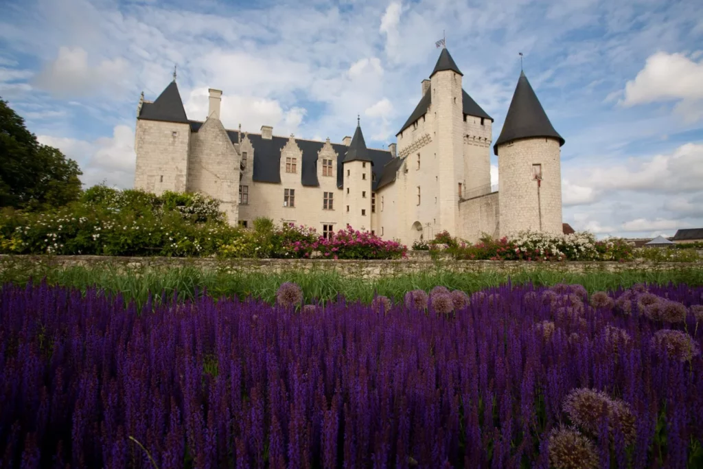 Au premier plan, un parterre de fleurs violette. Dans le fond, le Château du Rivau.