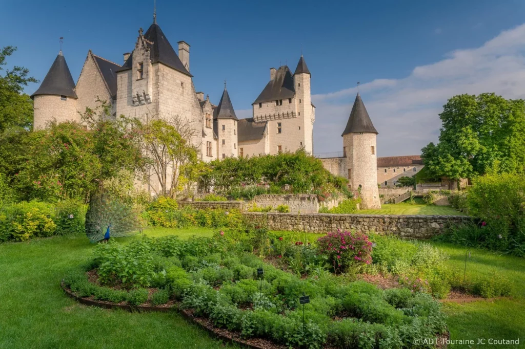 Par terre de plantes au premier plan. On voit le château au fond, et un paon est sur le côté.