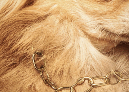 PAOZ la joaillerie qui inspire de Philippe Airaud