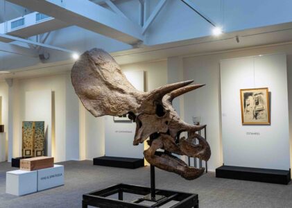 Gros & Delettrez inaugure son Hôtel des ventes Rive Gauche à Paris