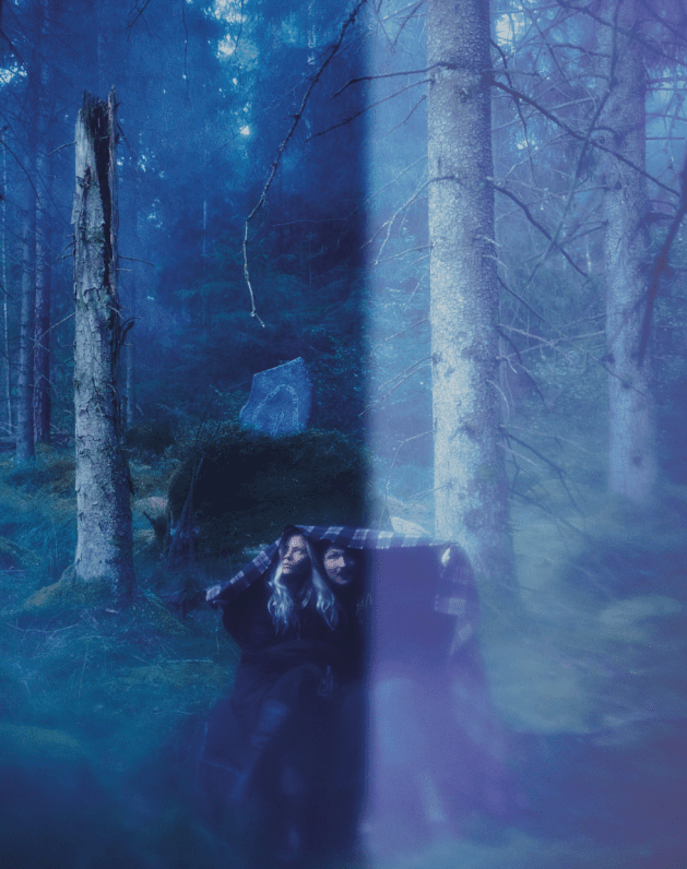 forêt suédoise bleue