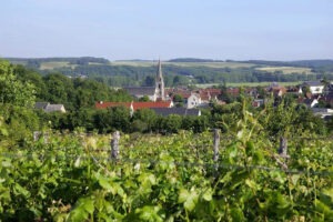 Coteaux du Vendômois