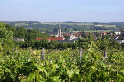 Coteaux du Vendômois