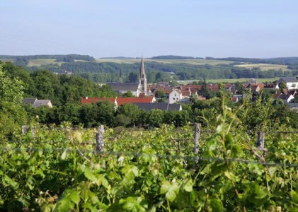 Le Gris AOP Coteaux du Vendômois, un vin qui mérite d’être découvert