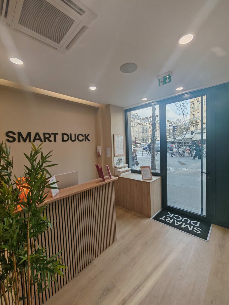 Smart Duck Gobelins