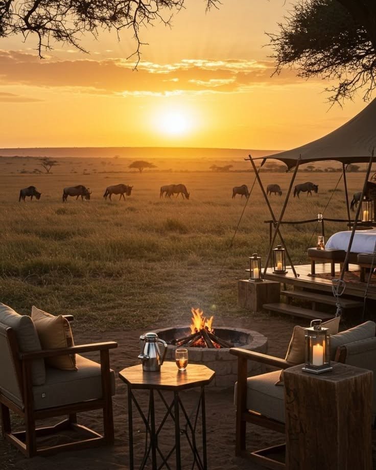 voyage en safari de la marque Aurélie Bidermann