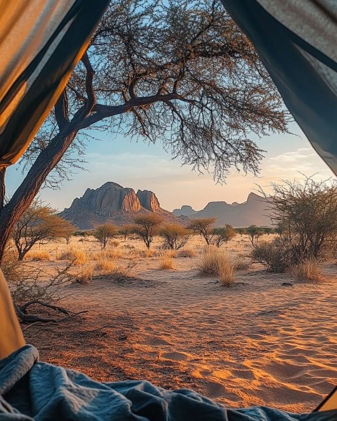 paysage de safari tournage Aurélie Bidermann